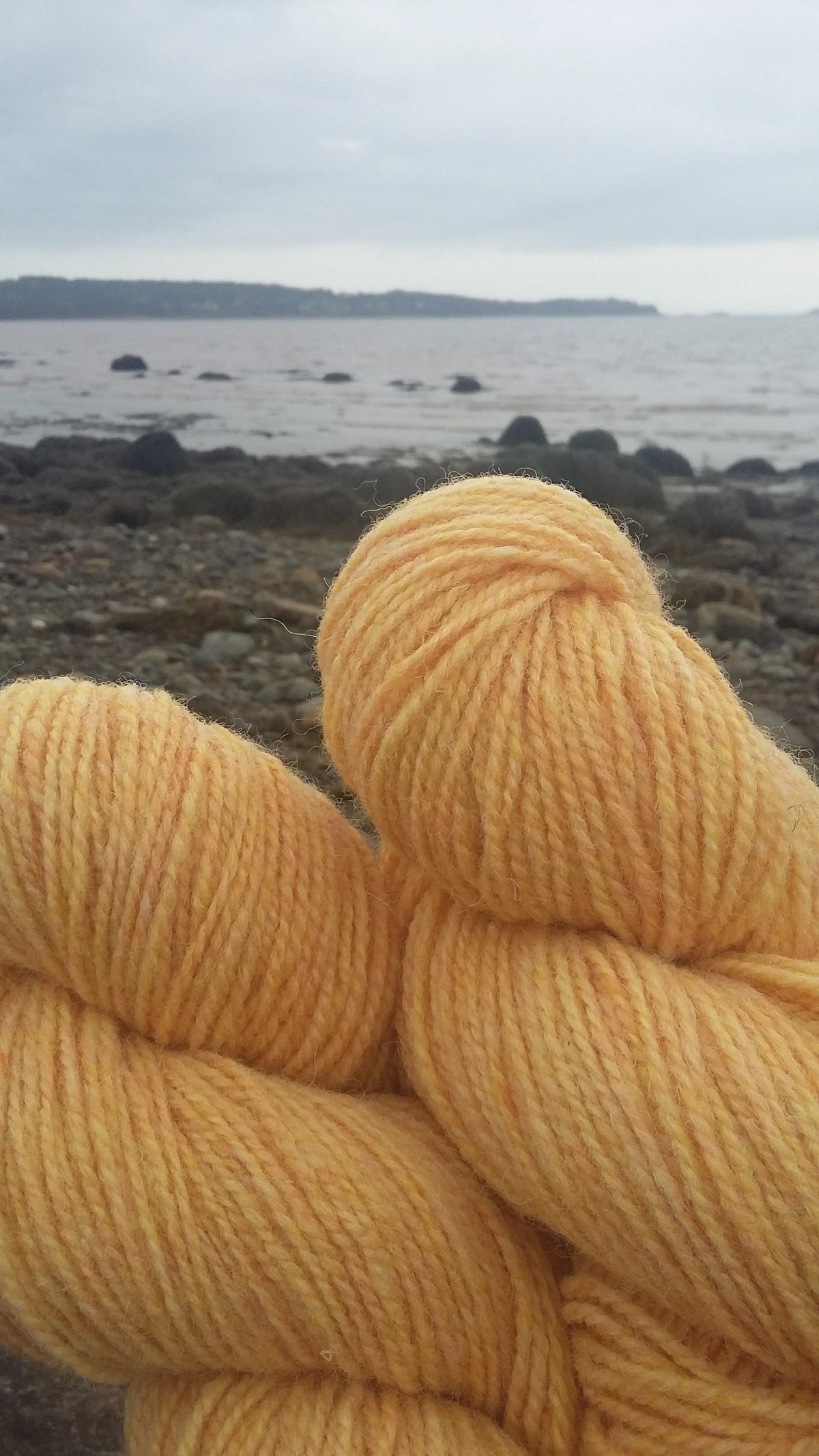 Regal 2-Ply DK 100% Wool Yarn